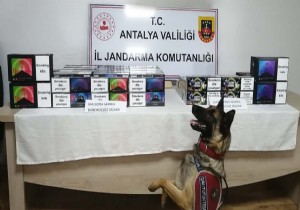 Antalya da Jandarma da Operasyonlar Hz Kesmeden Devam Ediyor